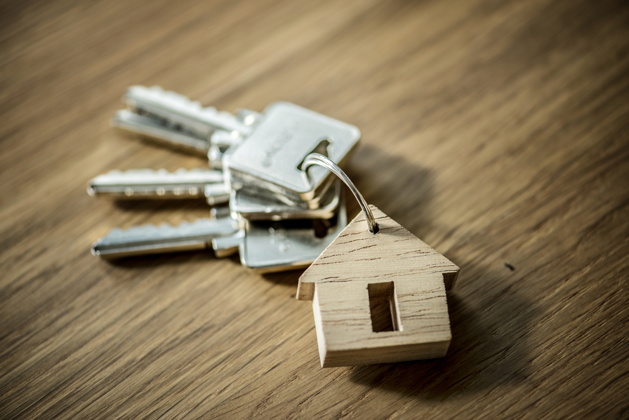 keys on a keychain with a wooden house